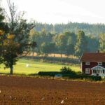 Busco Matrimonio para Cuidar Finca